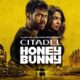 Citadel: Honey Bunny